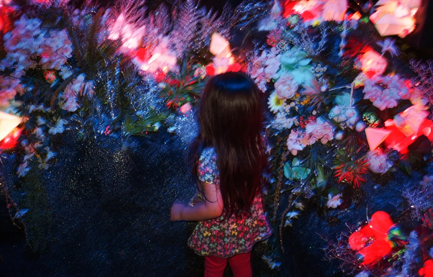 Meow Wolf