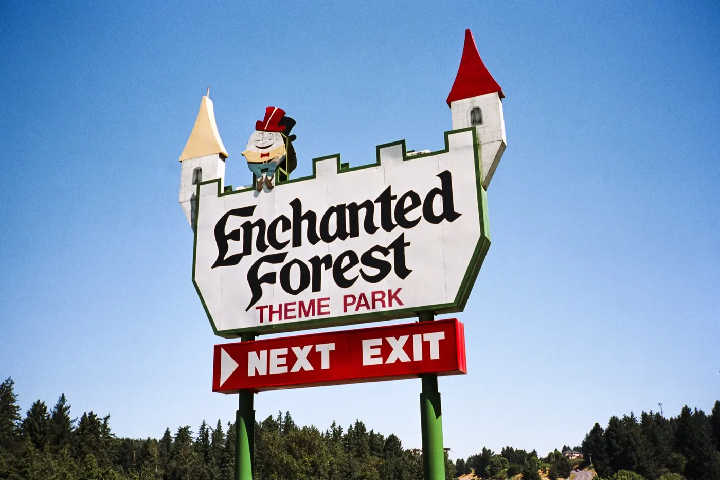 Enchanted Forest