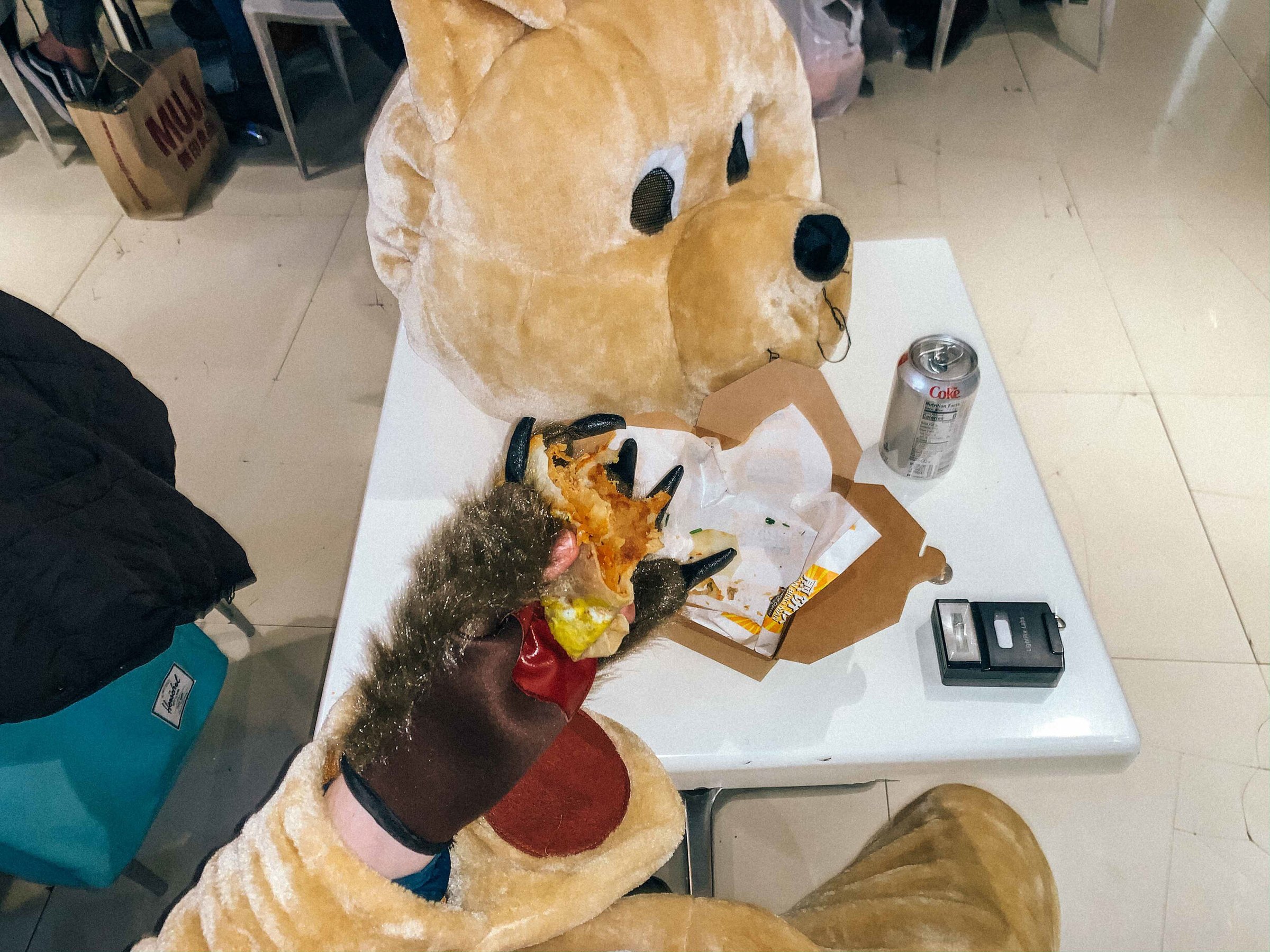 Bear Suit Surveillance — 34