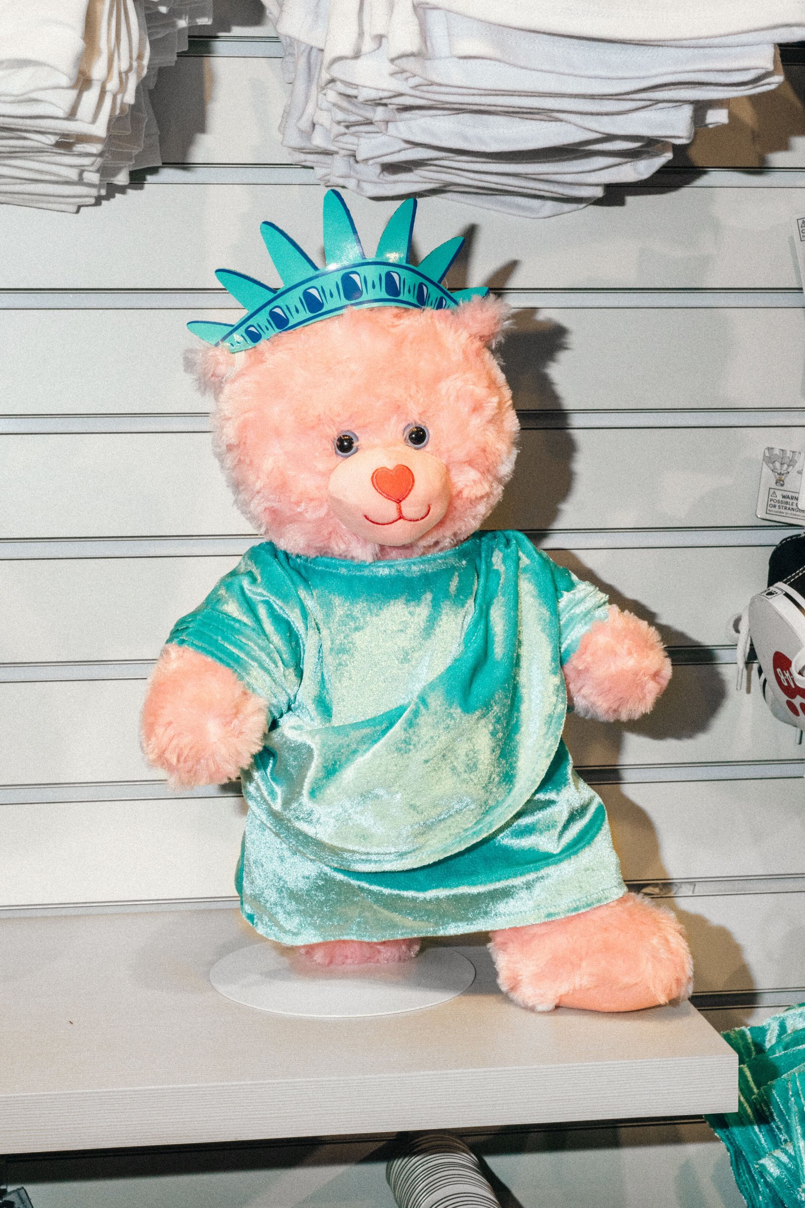 Bear Suit Surveillance — 36