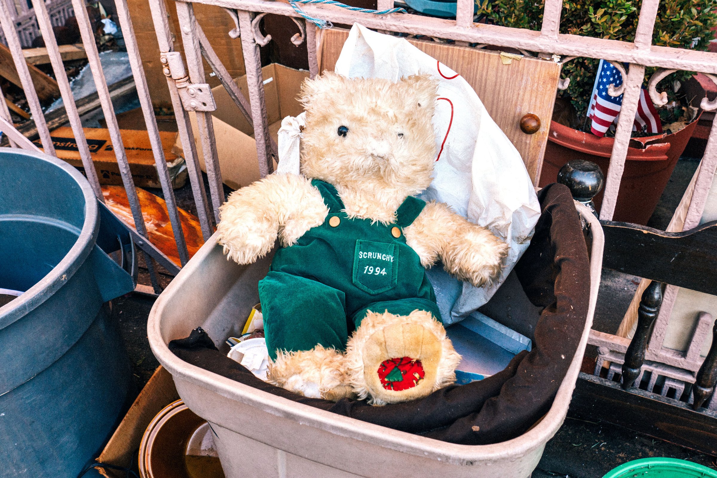 Bear Suit Surveillance — 38