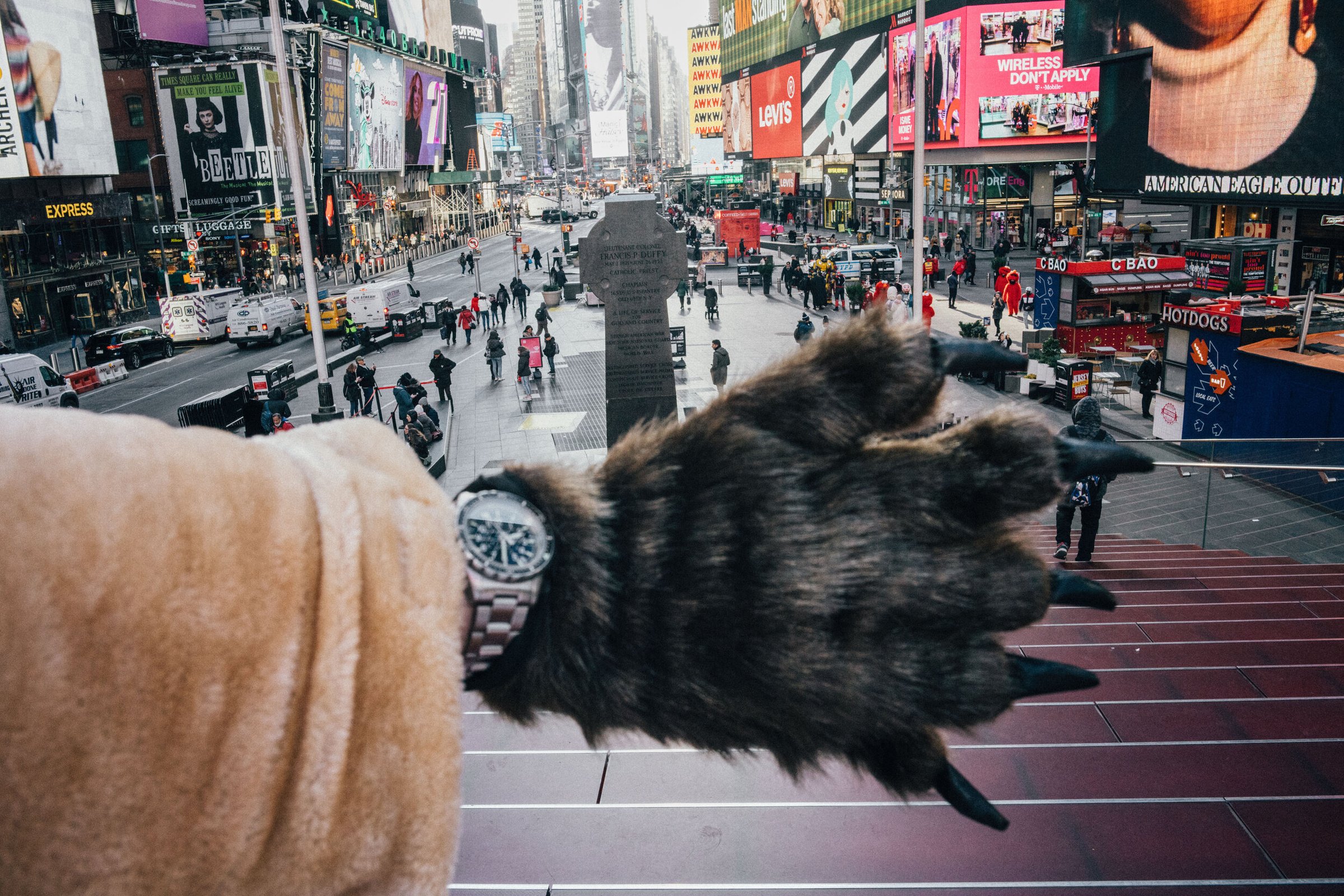 Bear Suit Surveillance — 43