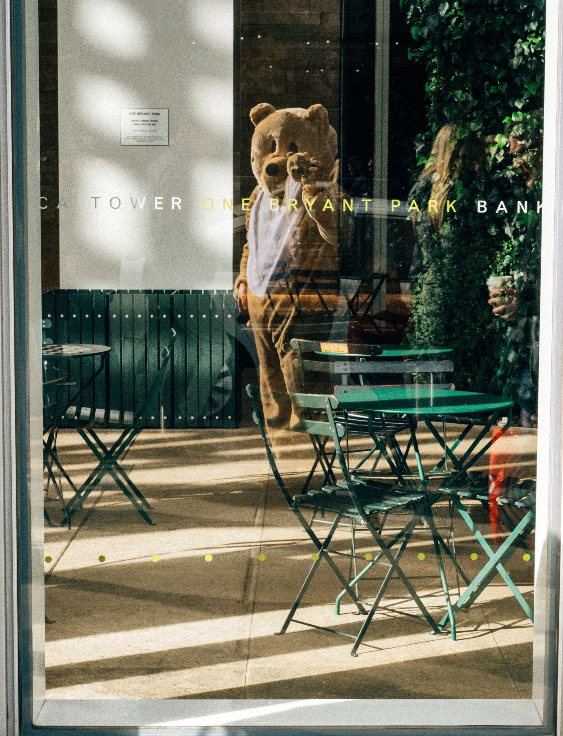 Bear Suit Surveillance — 44
