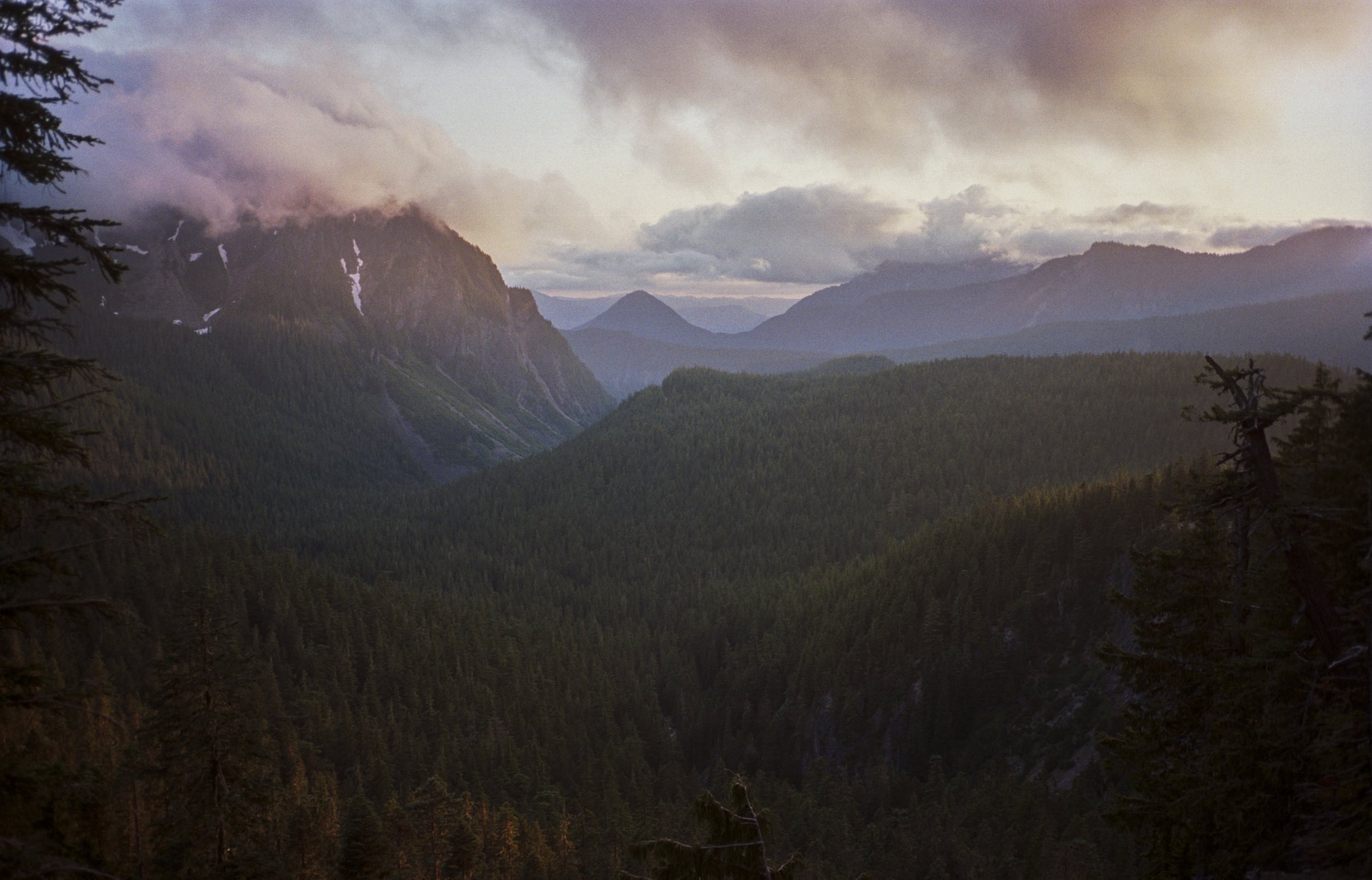 Selected Images — 4